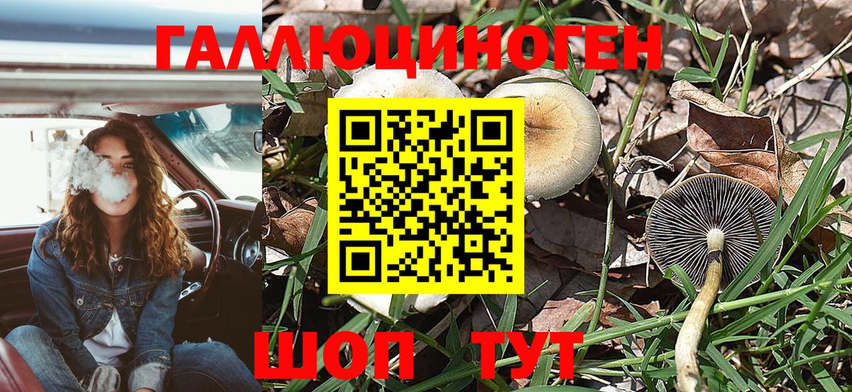 купить   Вход с VPN  Сокол  Галлюциногенные грибы Magic Shrooms 